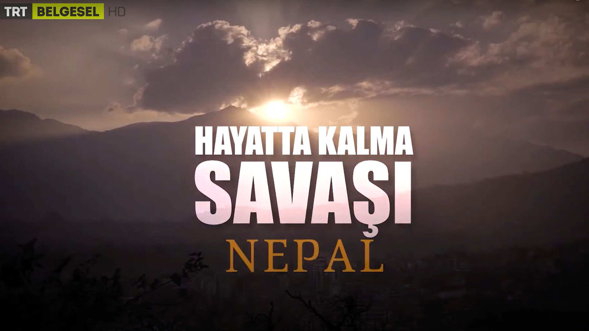 Deimos Pictures Announces New Documentary Series "Hayatta Kalma Savaşı" Exclusively for TRT Belgesel